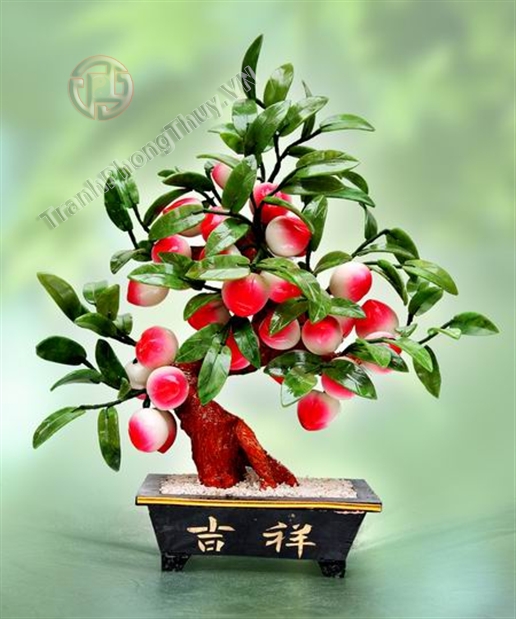 Cây tài, cây lộc