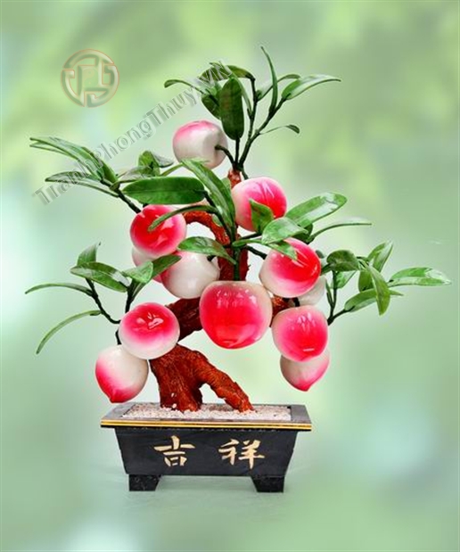 Cây tài, cây lộc
