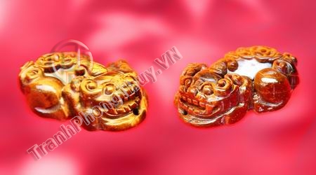 Mặt tì hưu