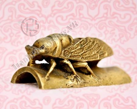 Phong thủy - Ve Sầu