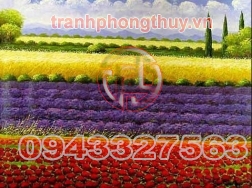 Tranh cánh đồng hoa