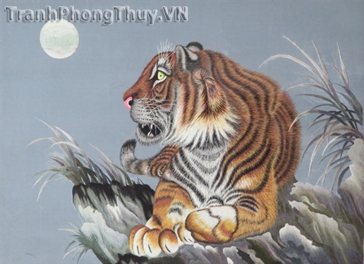 Tranh Phong Thủy Hổ Ngắm Trăng 
