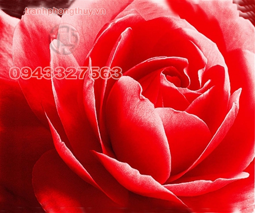 Tranh phòng ngủ 11